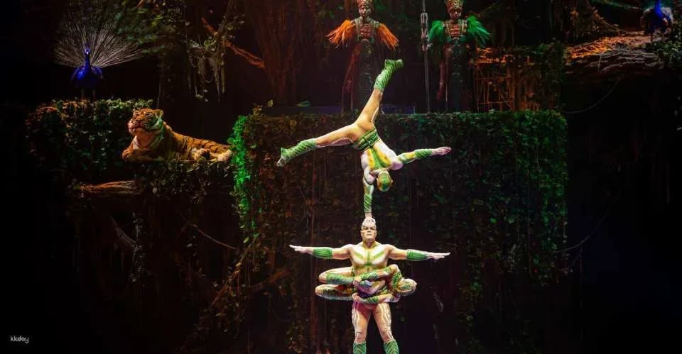 Tickets to Chimelong Show in Hengqin, Zhuhai (includes an AIRSIM borderless internet SIM card)