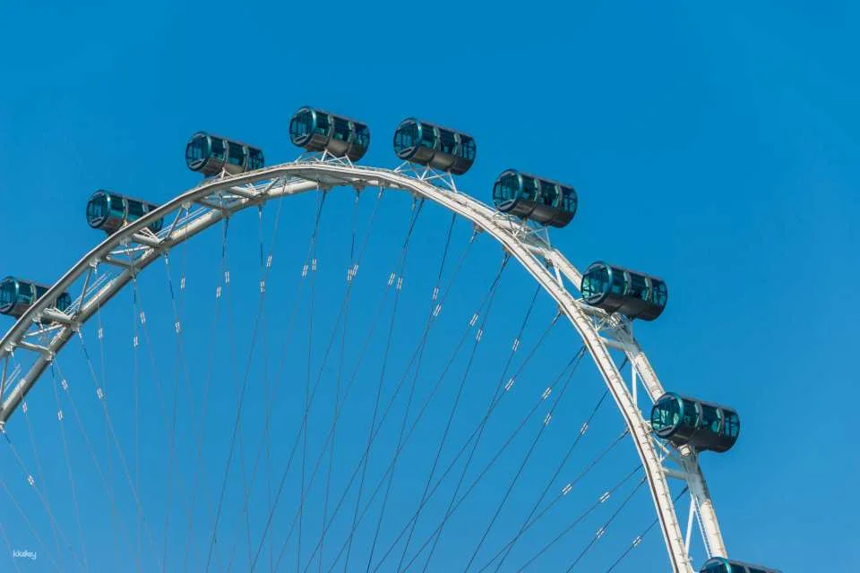 Singapore City Tour: Merlion Park, Singapore Flyer, Thian Hock Keng Temple, and More (Private or Shared Tour Option)