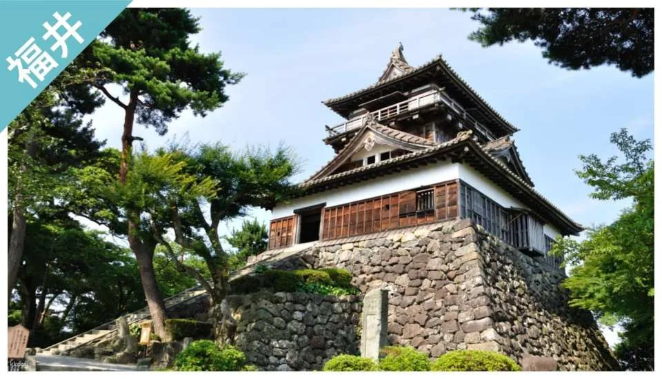 [Discounts] Fukui Great Value Package | Have Fun in Fukui 1 Week Free Pass