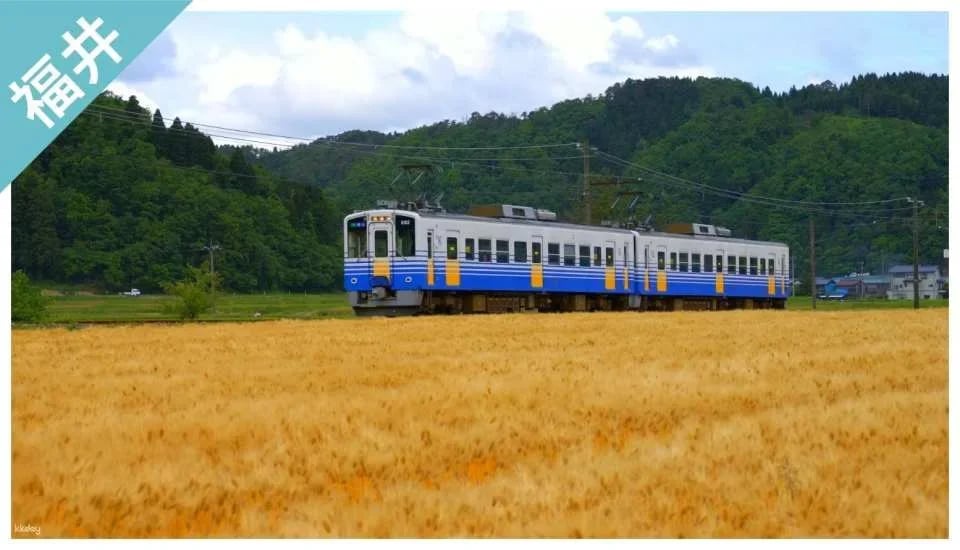 [Discounts] Fukui Great Value Package | Have Fun in Fukui 1 Week Free Pass