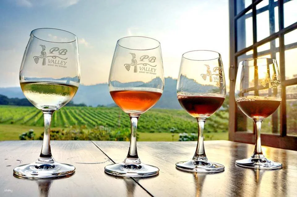 PB Valley Khao Yai Winery Vineyard & Wine Tasting Tour | Thailand (158906)