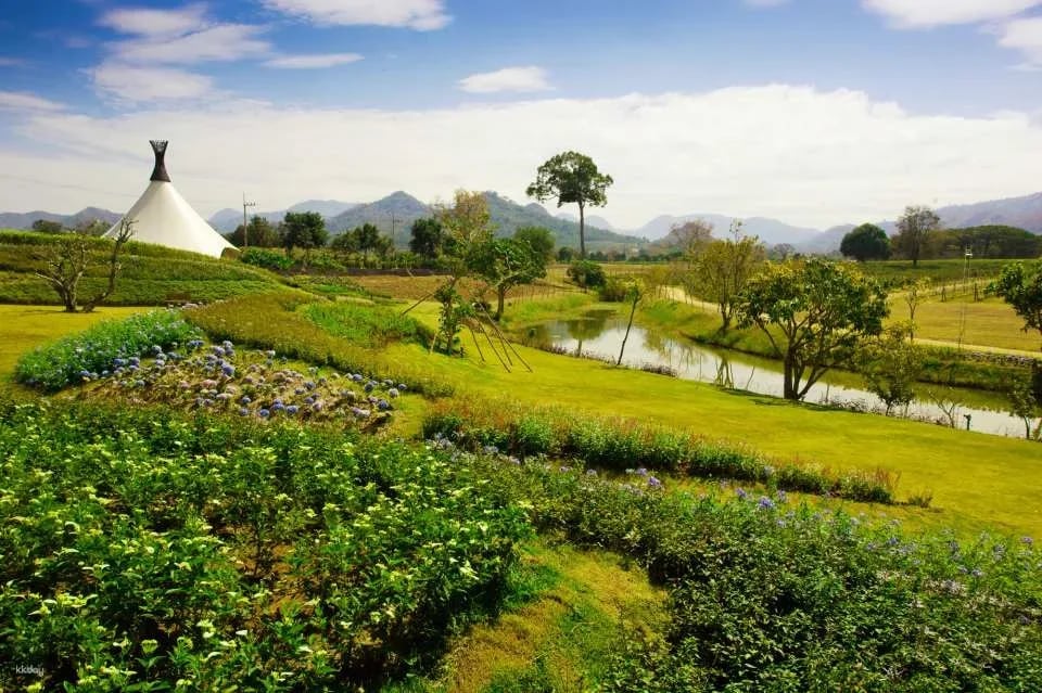 PB Valley Khao Yai Winery Vineyard & Wine Tasting Tour | Thailand