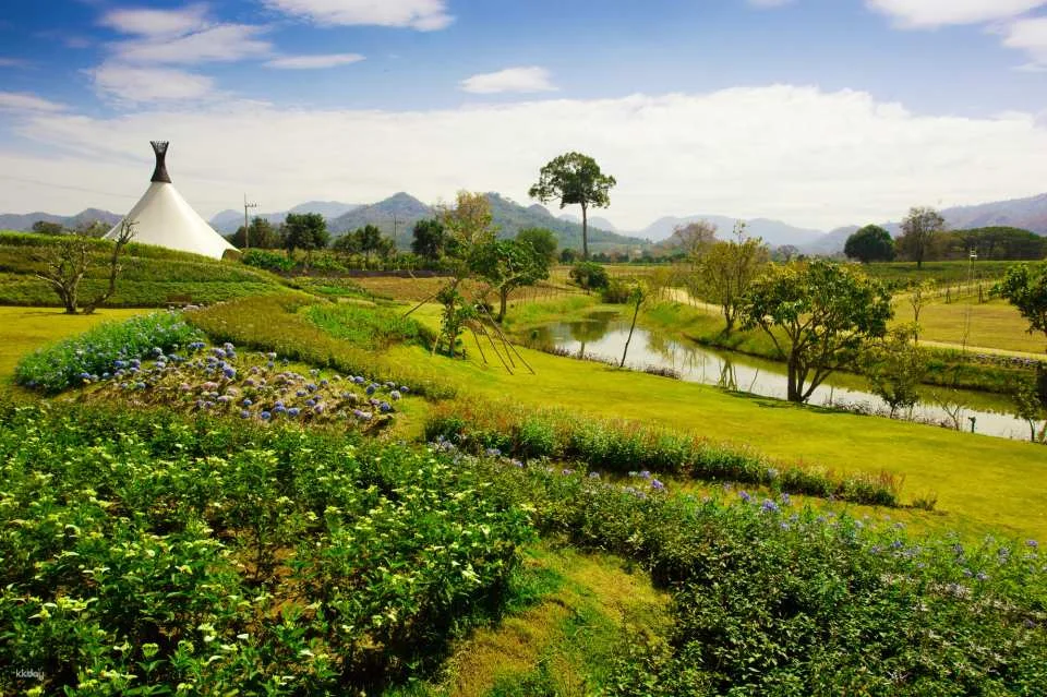 PB Valley Khao Yai Winery Vineyard & Wine Tasting Tour | Thailand