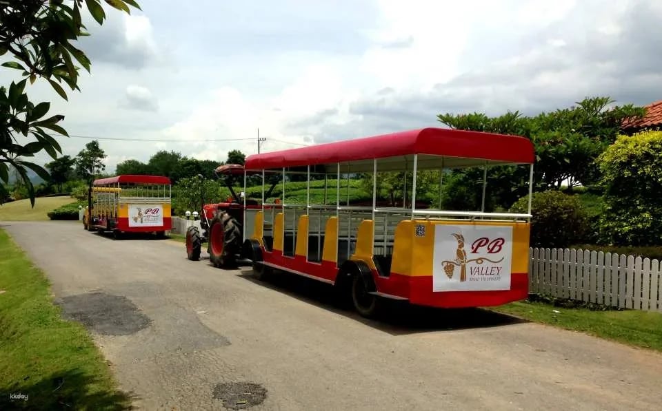 PB Valley Khao Yai Winery Vineyard & Wine Tasting Tour | Thailand