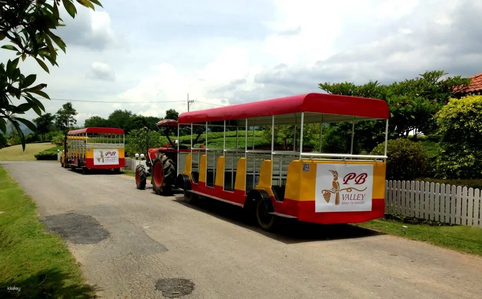 PB Valley Khao Yai Winery Vineyard & Wine Tasting Tour | Thailand
