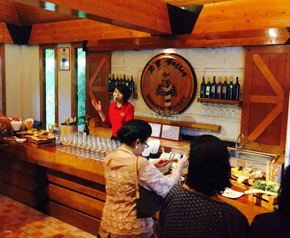 PB Valley Khao Yai Winery Vineyard & Wine Tasting Tour | Thailand