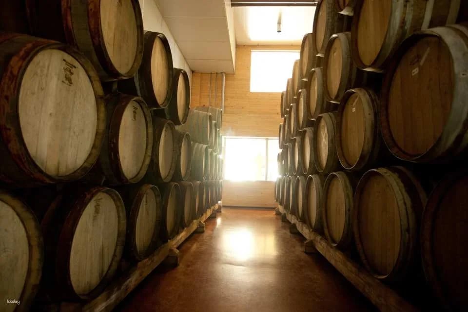 PB Valley Khao Yai Winery Vineyard & Wine Tasting Tour | Thailand