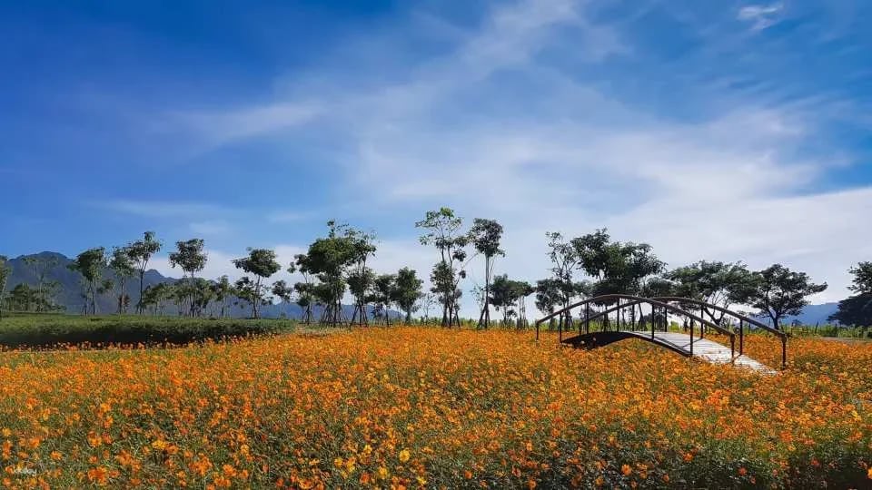 PB Valley Khao Yai Winery Vineyard & Wine Tasting Tour | Thailand