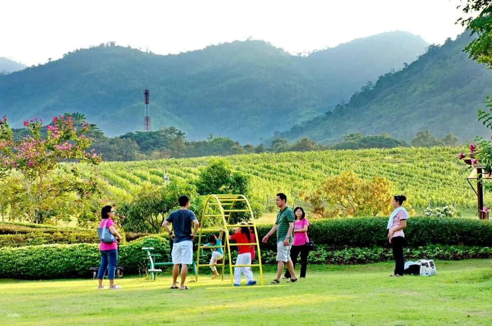 PB Valley Khao Yai Winery Vineyard & Wine Tasting Tour | Thailand