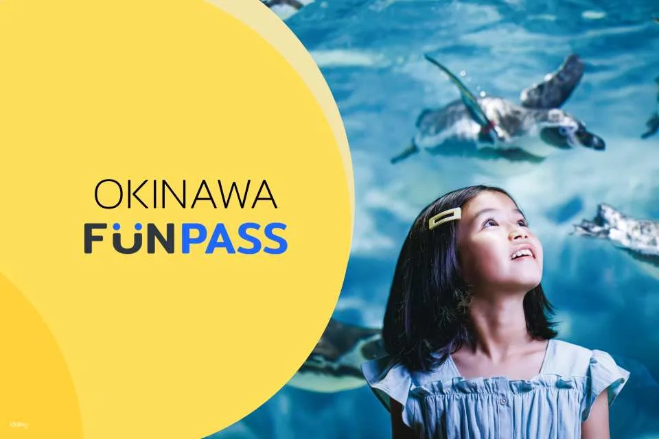 Okinawa Fun Pass Value Series | Discounts on Any Combination Tickets
