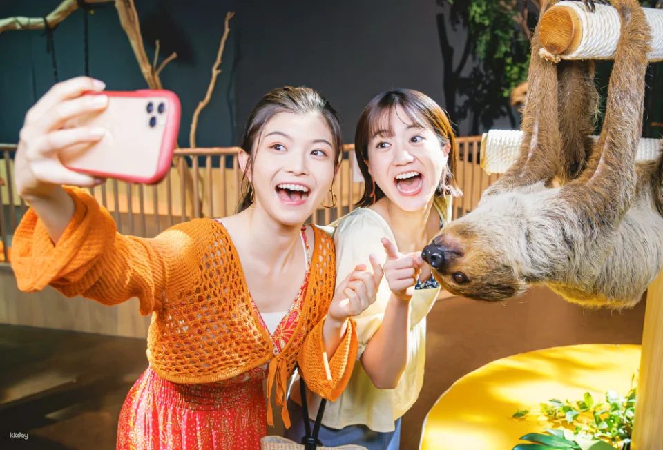 Okinawa Fun Pass Value Series | Discounts on Any Combination Tickets