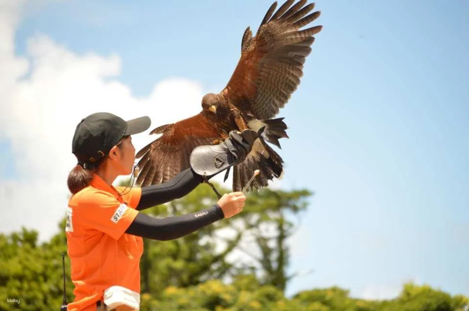 Okinawa Fun Pass Value Series | Discounts on Any Combination Tickets