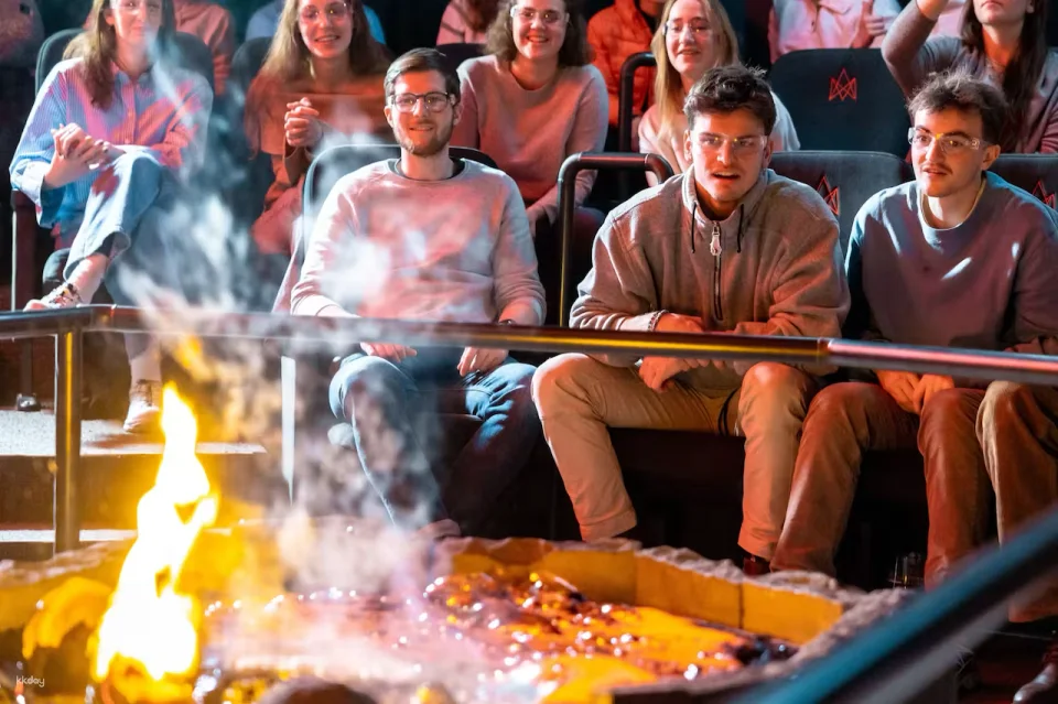 Lava Show Reykjavik: Entry Ticket | Iceland