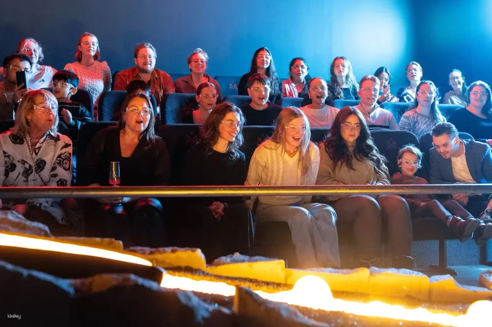 Lava Show Reykjavik: Entry Ticket | Iceland