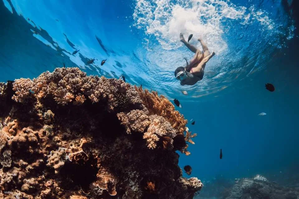 3-Days Beginner Freediving Training Course With Photo Op and Bonus Diving Session (Certification Included) | Philippines