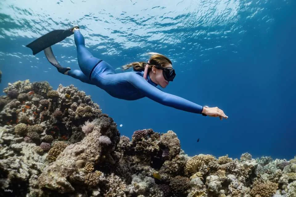 3-Days Beginner Freediving Training Course With Photo Op and Bonus Diving Session (Certification Included) | Philippines
