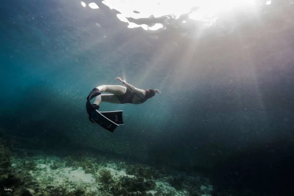3-Days Beginner Freediving Training Course With Photo Op and Bonus Diving Session (Certification Included) | Philippines