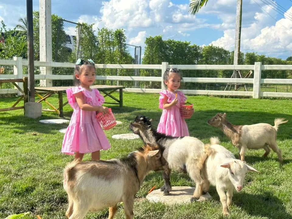 Chiang Mai Lanna Mini Zoo with Private Transfer | Thailand