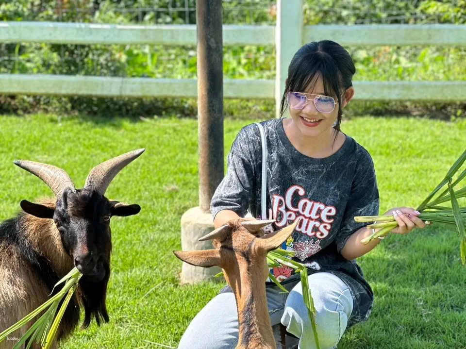 Chiang Mai Lanna Mini Zoo with Private Transfer | Thailand