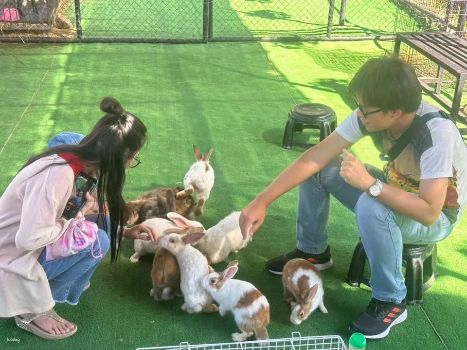 Chiang Mai Lanna Mini Zoo with Private Transfer | Thailand