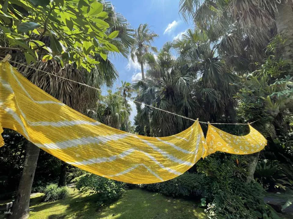 Scarf Plant Dyeing Workshop in Kagoshima