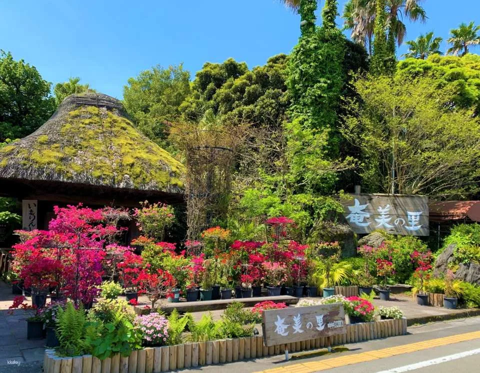 Kumihimo Braid-making Experience in Kagoshima