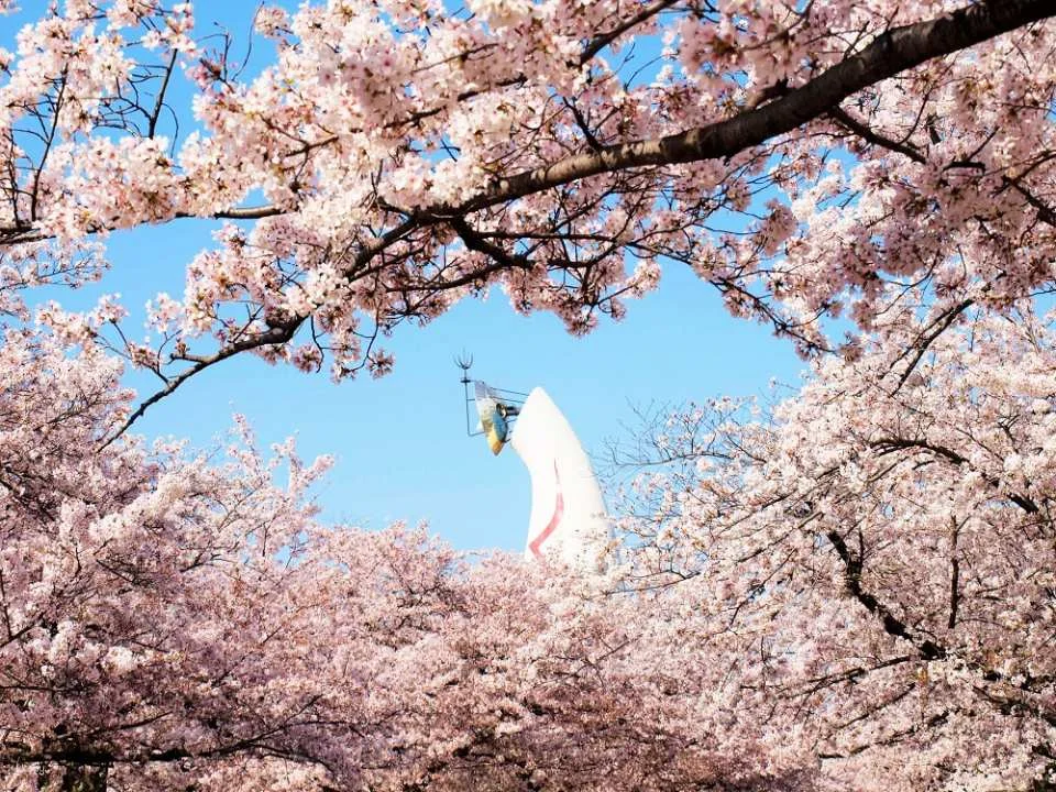 Osaka Expo Commemoration Park | Natural and Cultural Gardens Ticket