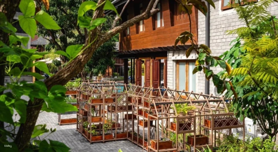 Ayurah Spa & Wellness Centre Voucher (Aleenta Chiang Mai Spa) | Thailand
