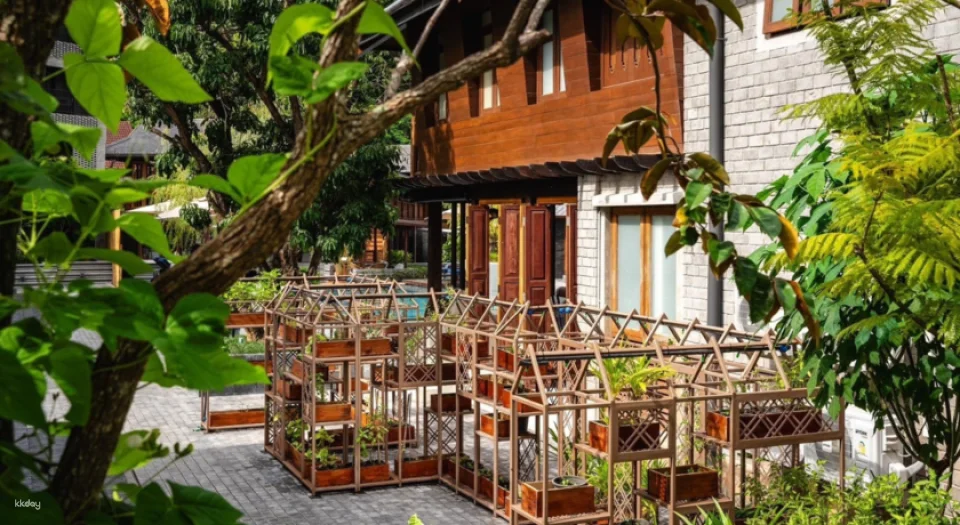 Ayurah Spa & Wellness Centre Voucher (Aleenta Chiang Mai Spa) | Thailand