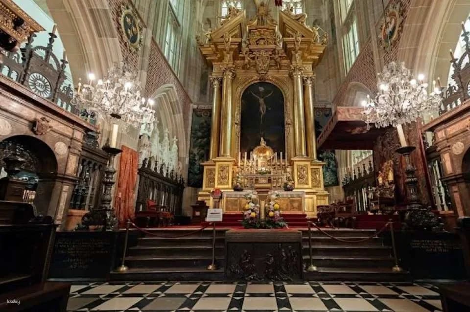 Krakow Wawel Castle and Cathedral guided tour