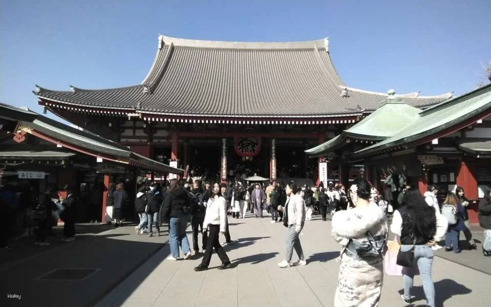 Private Guided Ninja / Samurai Tour in Asakusa (Tokyo)