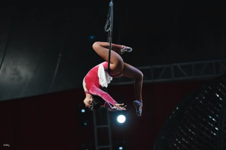 Taichung Houli | Pegasus Dream Circus Tickets