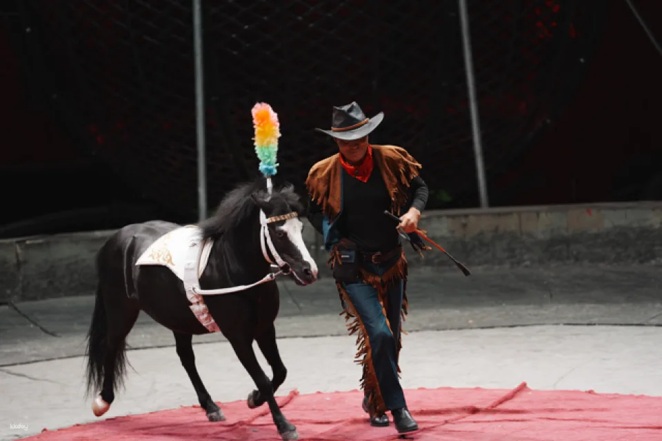 Taichung Houli | Pegasus Dream Circus Tickets