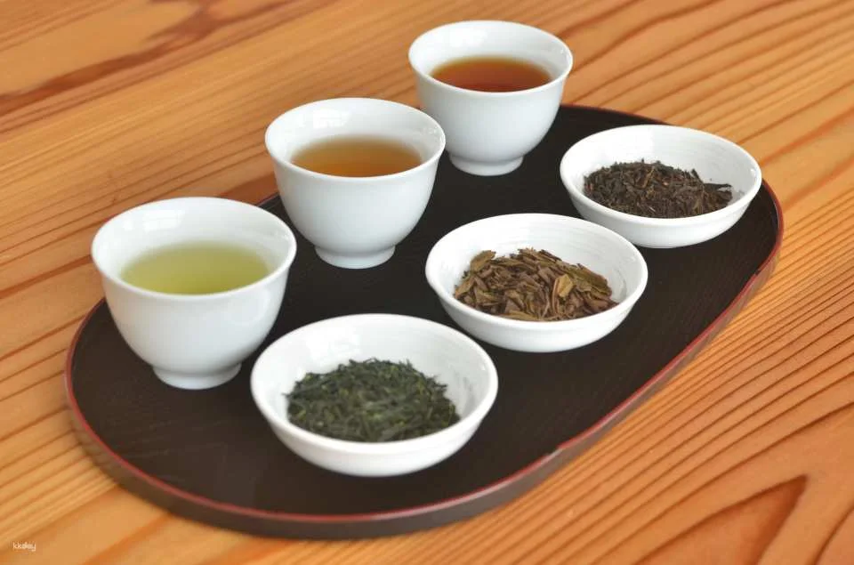 Experience Traditional Culture at Wazuka Tea Cafe (Wazuka, Kyoto)