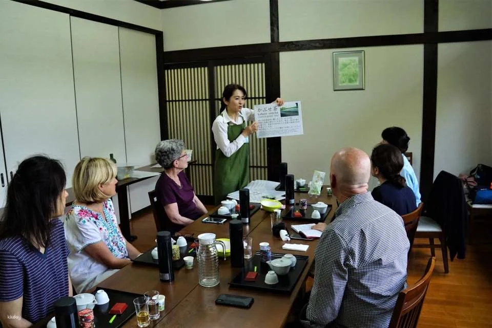 Experience Traditional Culture at Wazuka Tea Cafe (Wazuka, Kyoto)