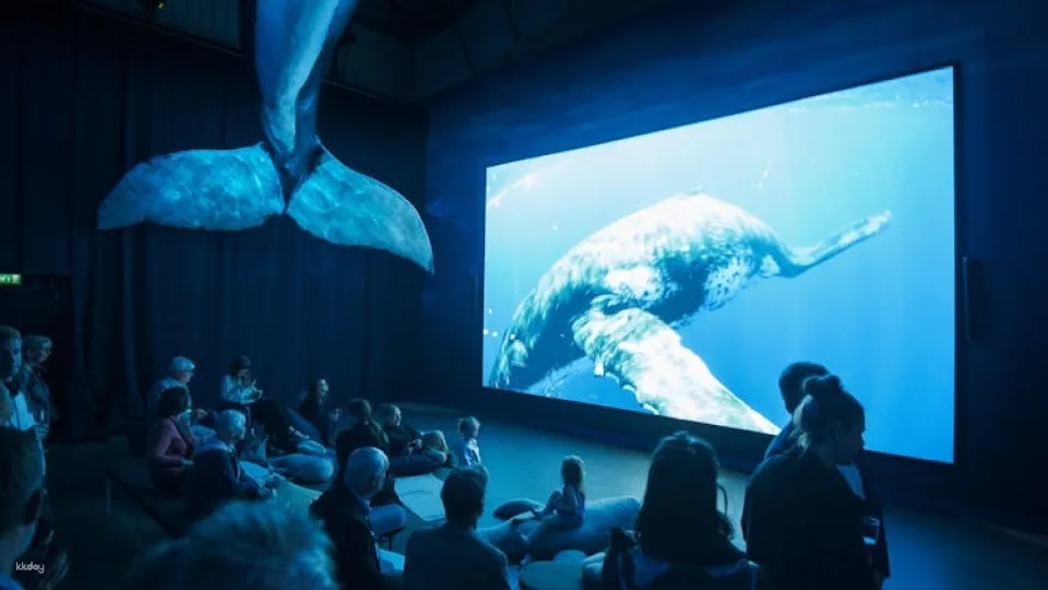 Whales of Iceland admission with audio guide and tour