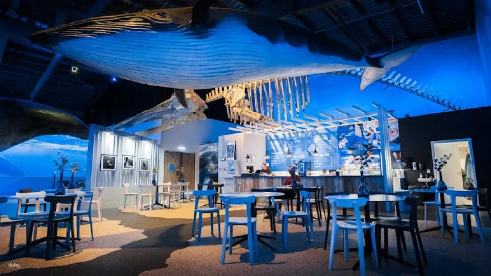 Whales of Iceland admission with audio guide and tour