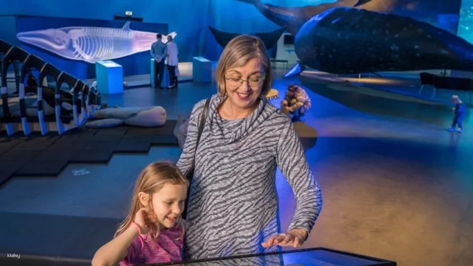 Whales of Iceland admission with audio guide and tour