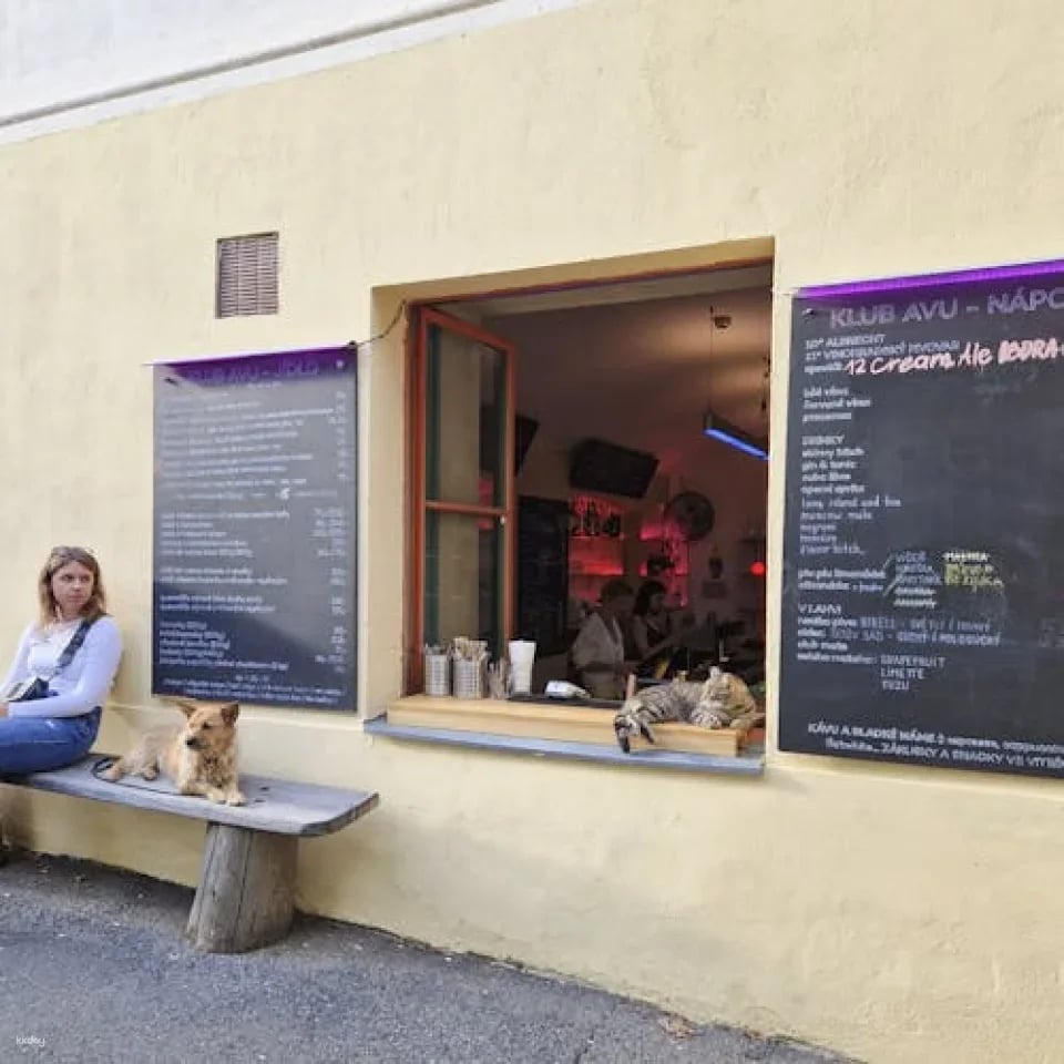Self-Guided Discovery Walk in Prague's Art District