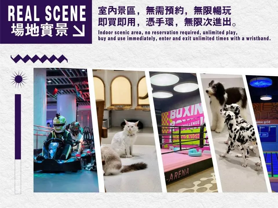 Shenzhen Bao'an District, China | DX-PARK Geocentric Park | Trendy Sports and Play Area, Perfect for Gatherings, Team Building, and Family Activities | Indoor Playground | Unlimited Access to Trendy Playgrounds | Craft Beer Serving from 7:30 PM to 10:30 PM