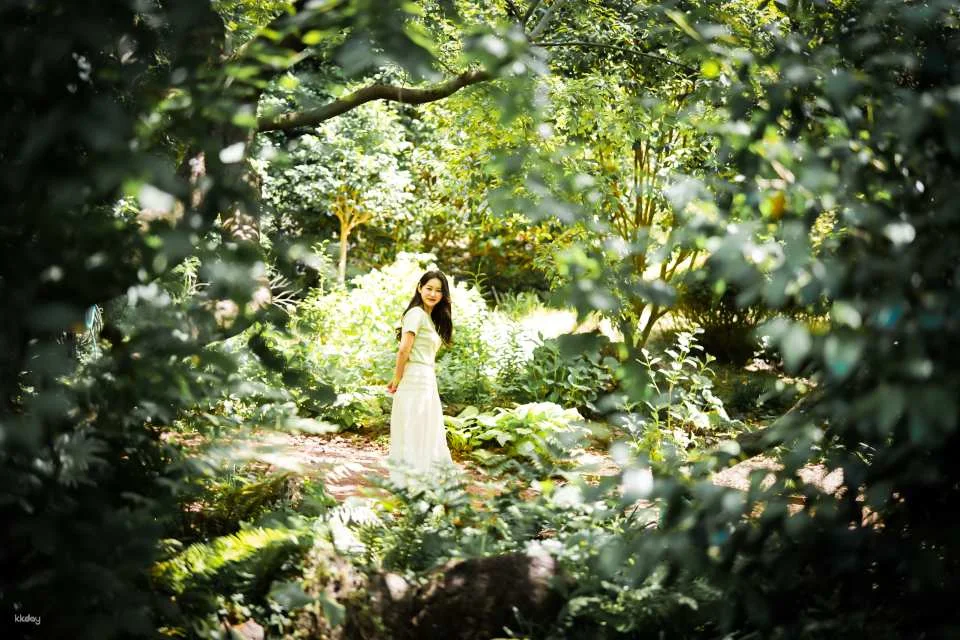 Best Photoshoot Experience in JEJU Landmarks