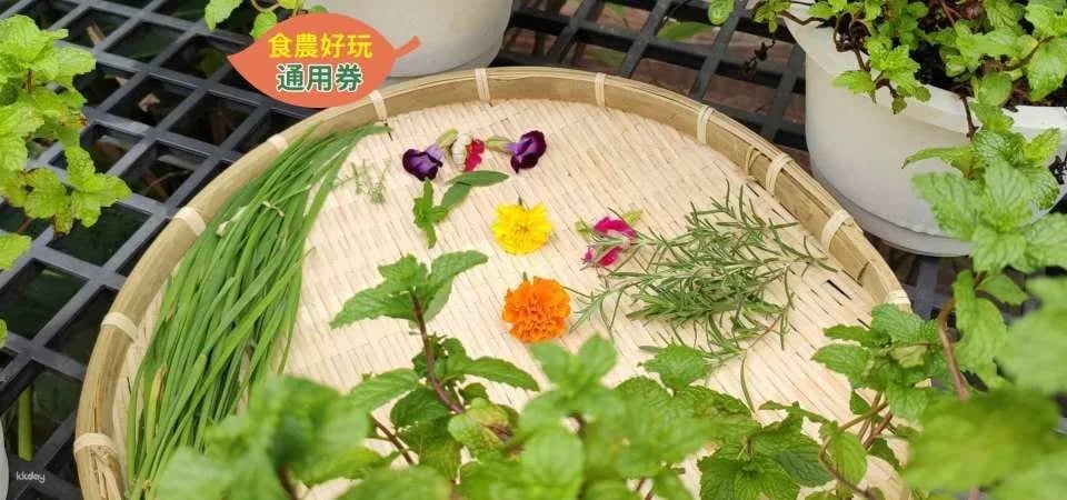 Taoyuan｜Herb Garden x Rural Kitchen｜Agritourism Supermarket