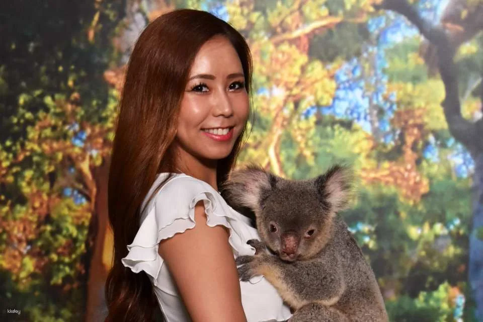 Cairns Koalas and Creatures Admission Ticket and Koala Photo Experience | Australia