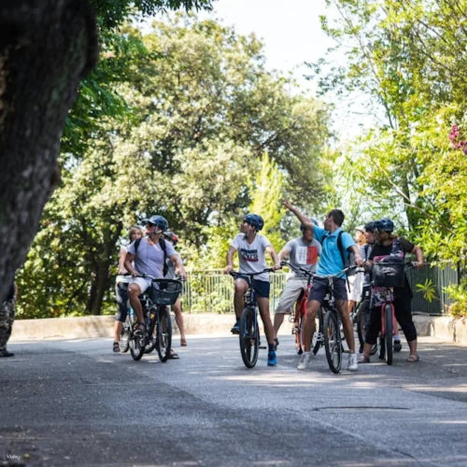 Nice best highlights electric bike tour