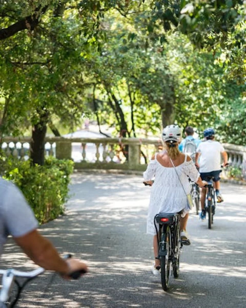 Nice best highlights electric bike tour