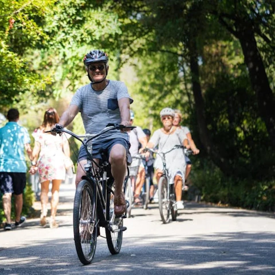 Nice best highlights electric bike tour