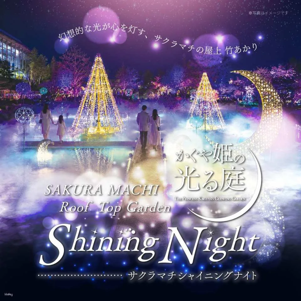 Princess Kaguya's Glowing Garden: Cherry Blossoms of Light Blooming in the Moonlight - Admission Ticket (Kumamoto Prefecture - Illumination)