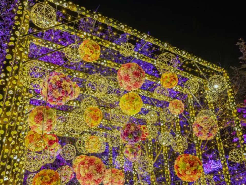 Princess Kaguya's Glowing Garden: Cherry Blossoms of Light Blooming in the Moonlight - Admission Ticket (Kumamoto Prefecture - Illumination)