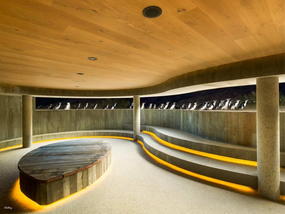 Phillip Island Nature Parks Penguin Parade Tickets | Melbourne