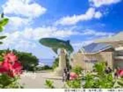 Okinawa Churaumi Aquarium Admission Ticket | Japan